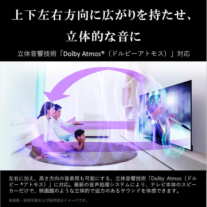 月額53,800円：REGZA 65V型 有機ELテレビ 65X9900M ブラック