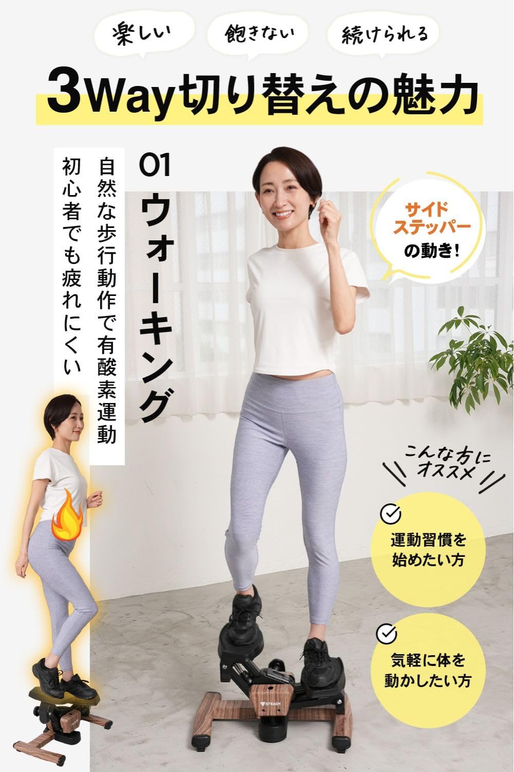 月額2,880円レンタルプラン：STEADY ツイストステッパー ST158