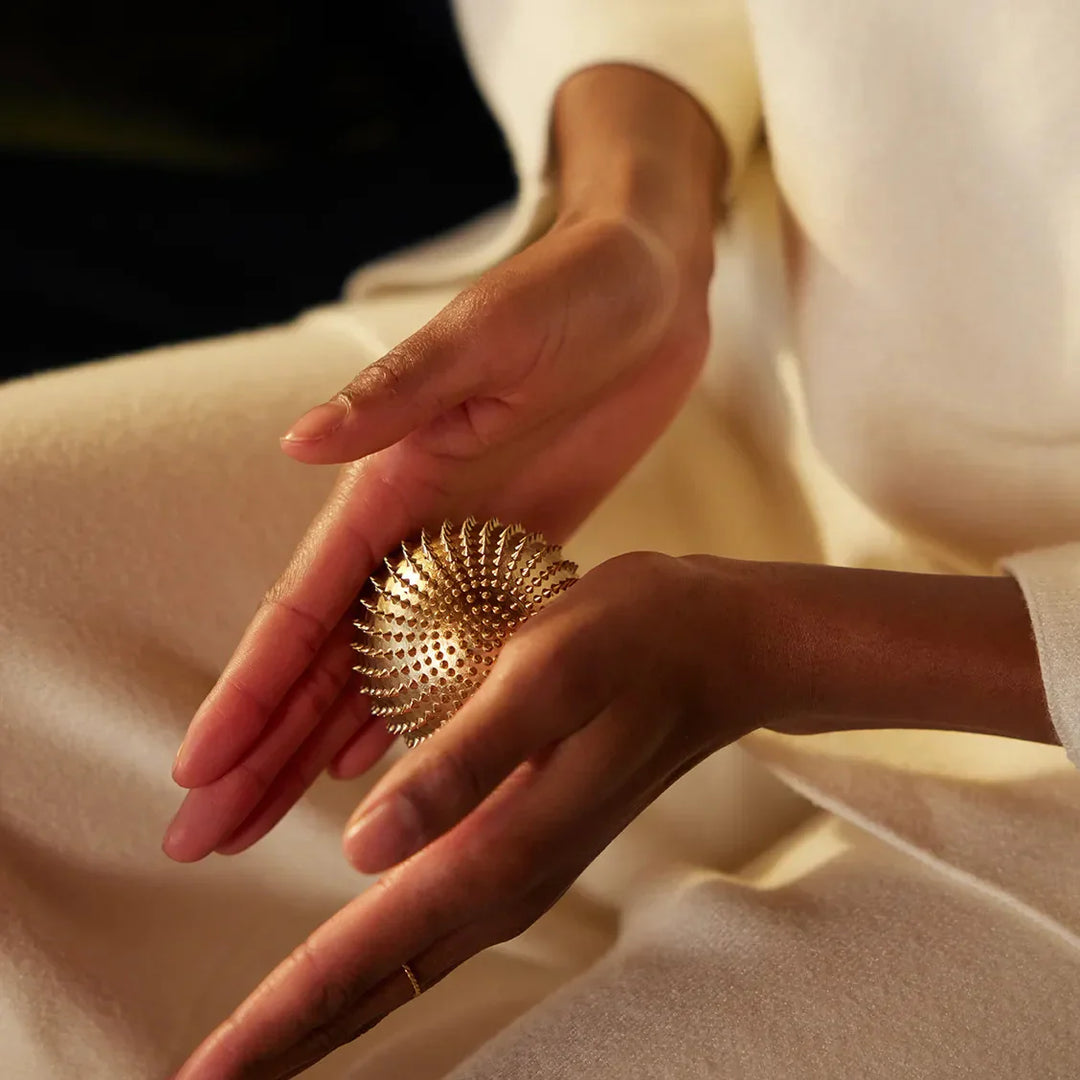 月額2,380円レンタルプラン：シャクティ ワンダーボール リラクゼーション