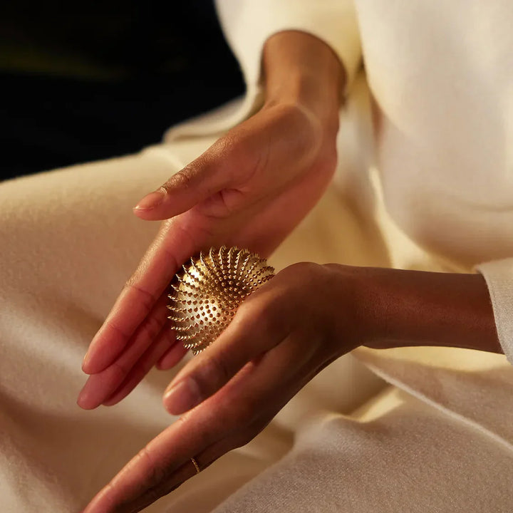 月額2,380円レンタルプラン：シャクティ ワンダーボール リラクゼーション