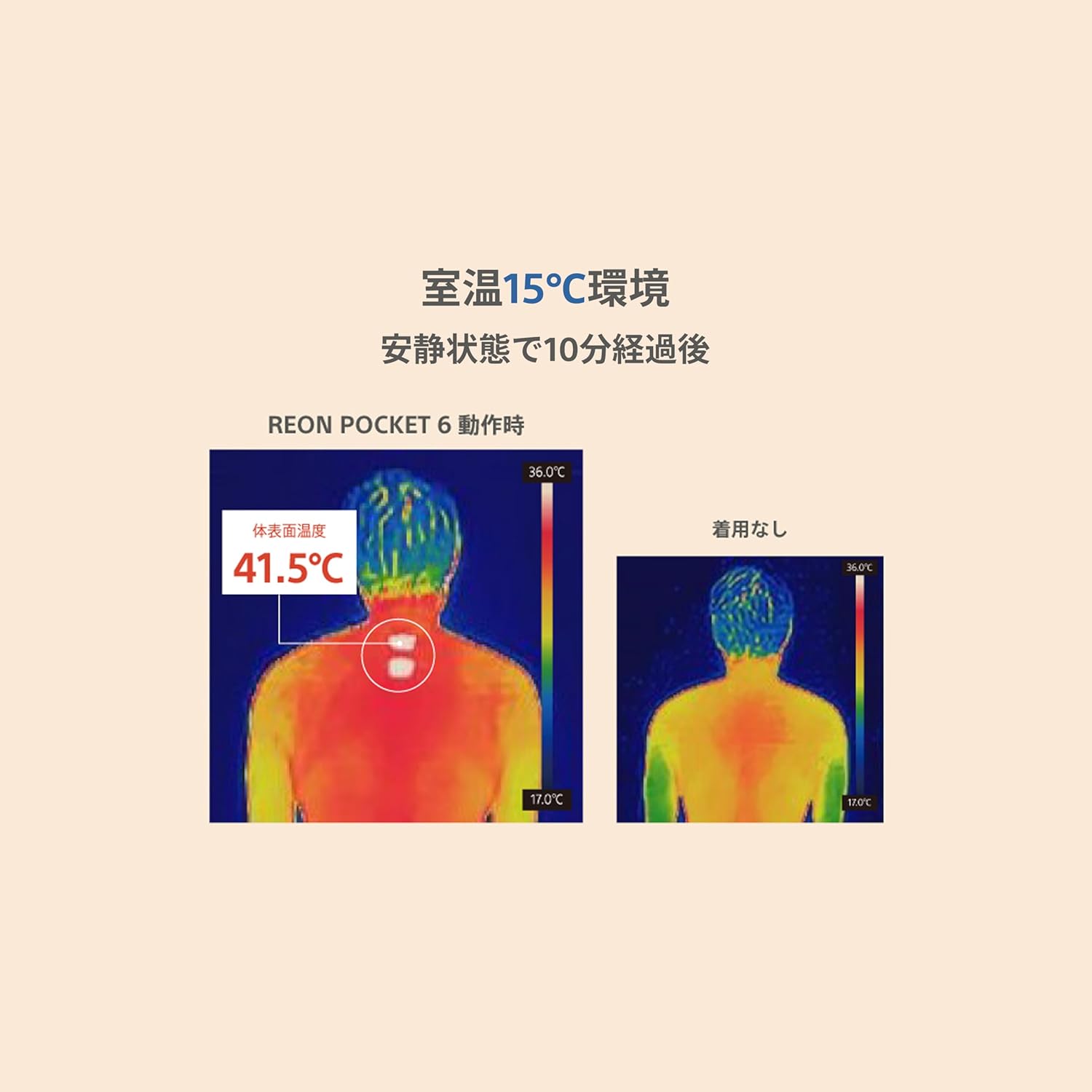 月額5,680~5,980円レンタルプラン：ソニー レオンポケット6 RNPK-6T