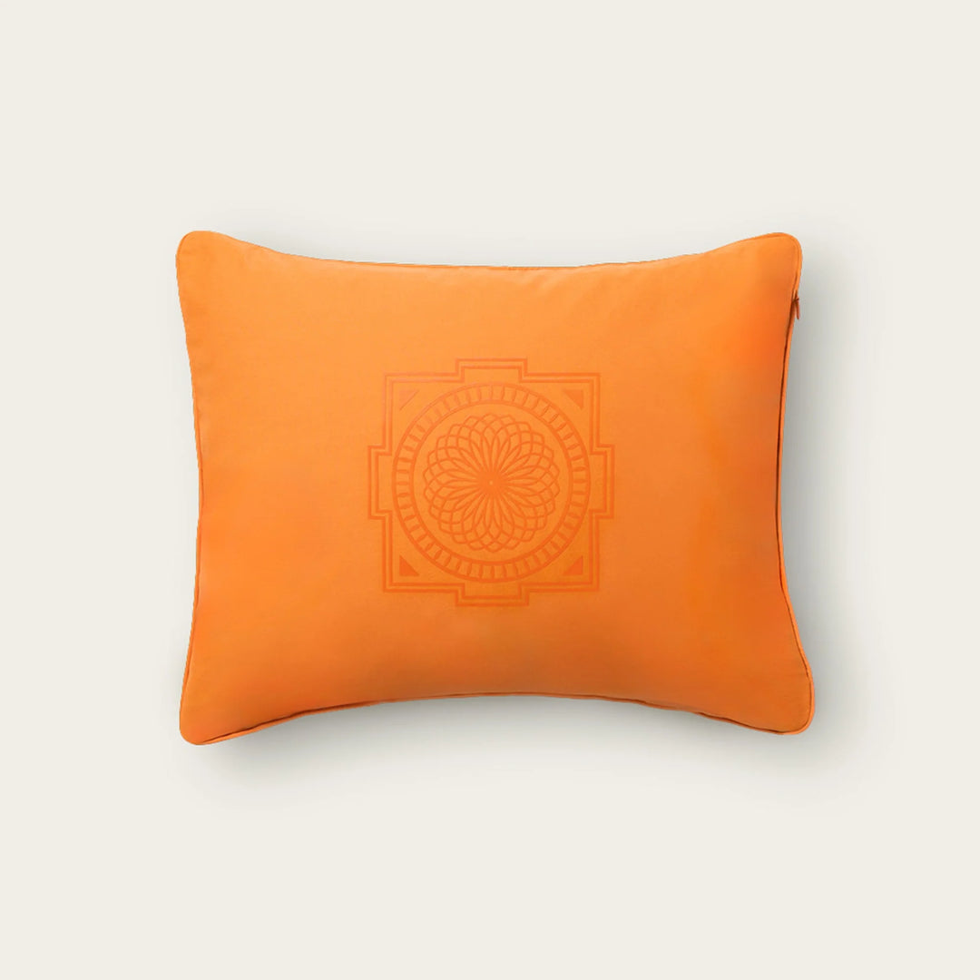 月額4,880円レンタルプラン：究極のシャクティセット プレミアム マット&ピローセット