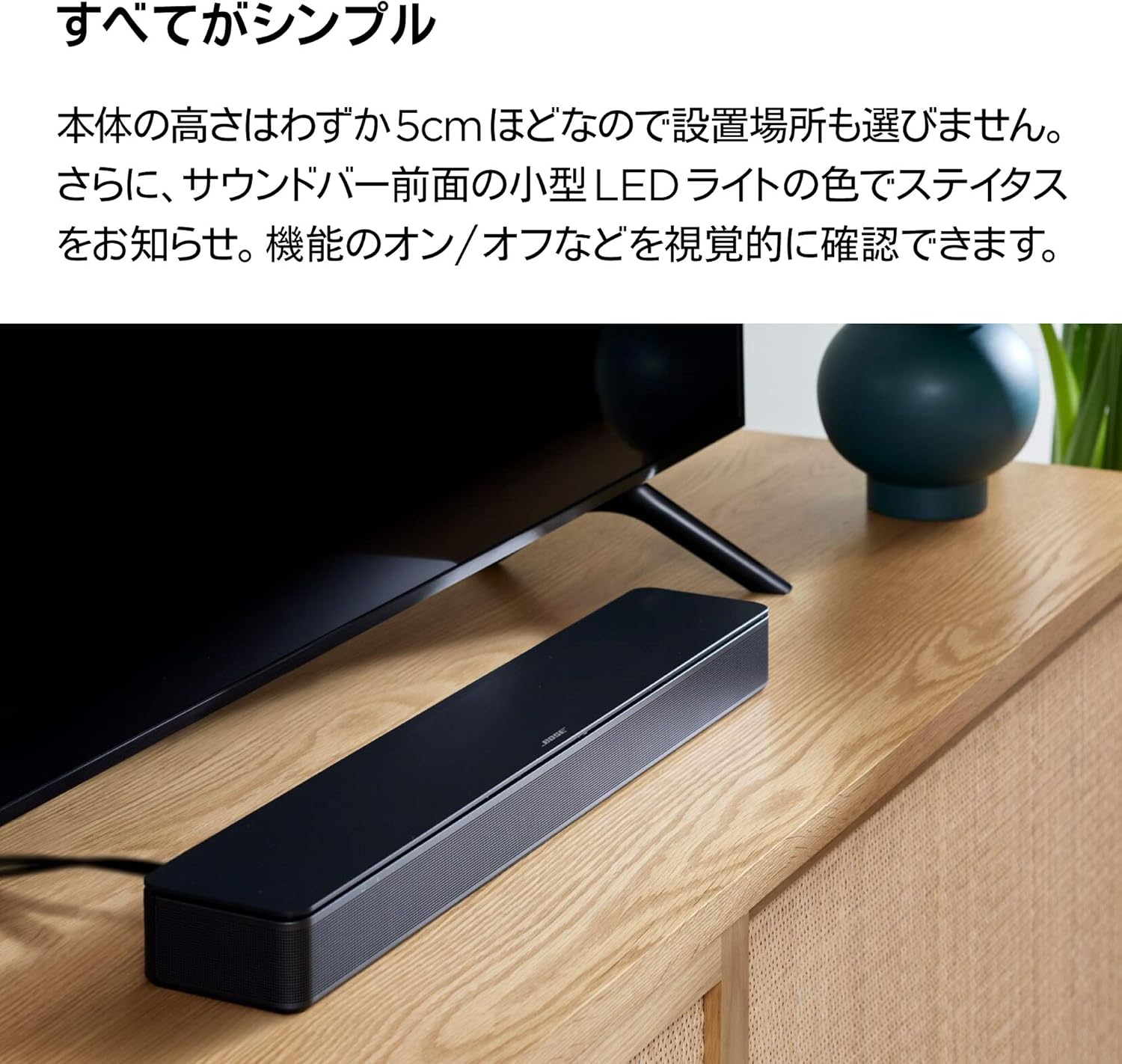 月額4,580円レンタルプラン：Bose TV Speaker サブウーファー ブラック