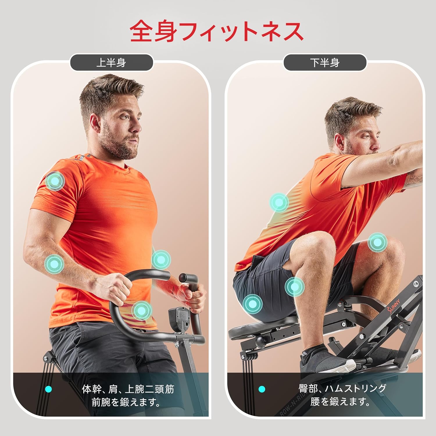 月額2,880円レンタルプラン：Sunny Health & Fitness ローイング