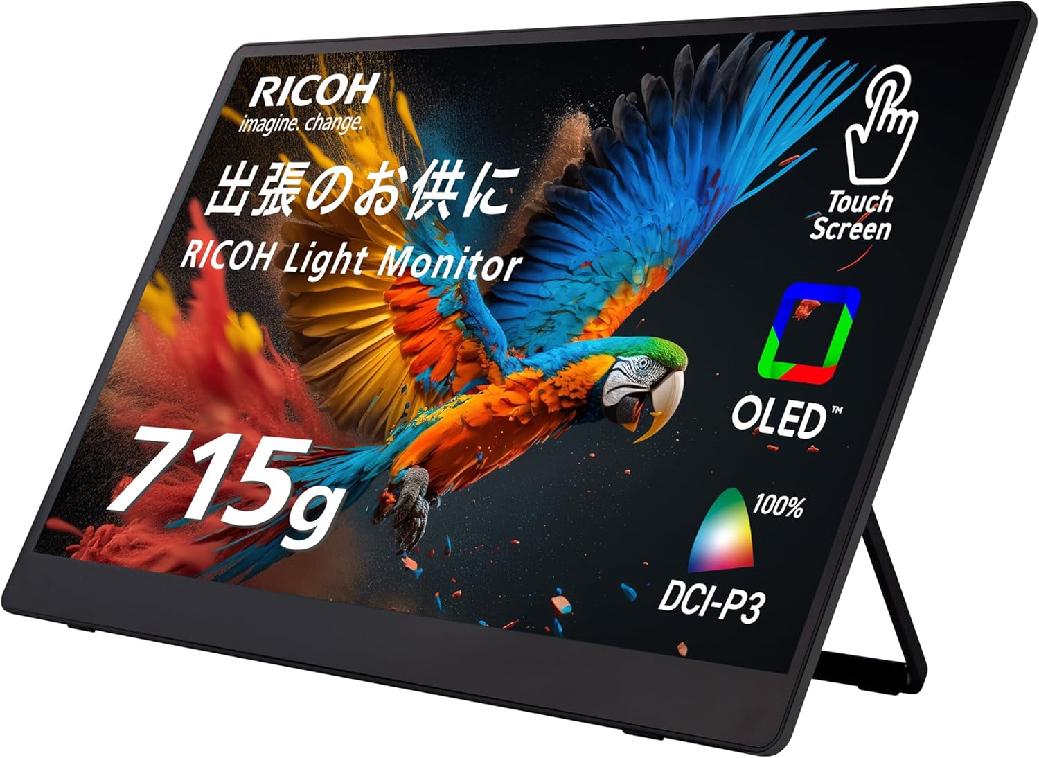 月額12,800円レンタルプラン：RICOH Light Monitor 150BW 液晶