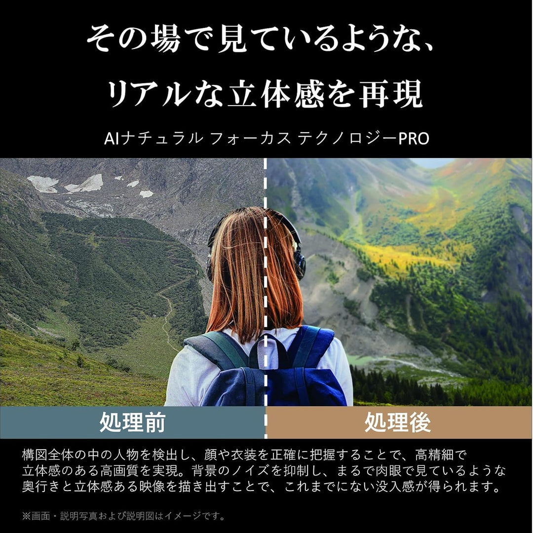 月額53,800円：REGZA 65V型 有機ELテレビ 65X9900M ブラック