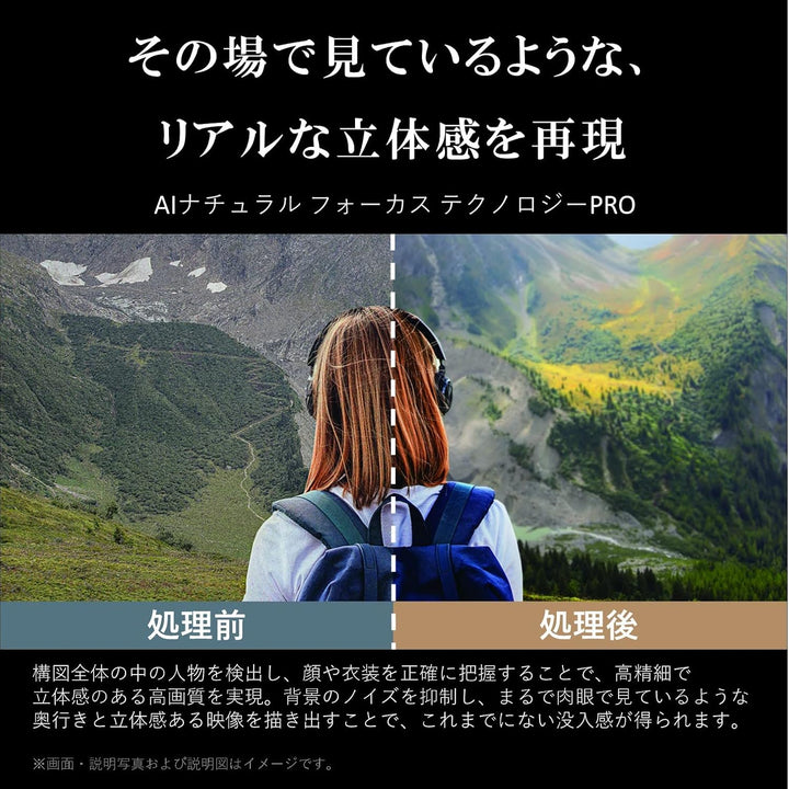 月額53,800円：REGZA 65V型 有機ELテレビ 65X9900M ブラック
