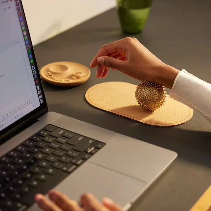 月額2,380円レンタルプラン：シャクティ ワンダーボール リラクゼーション