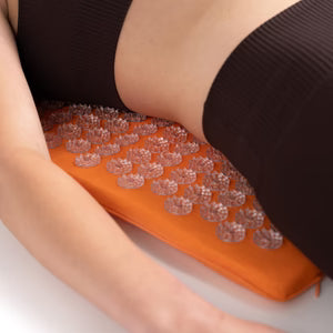 月額4,880円レンタルプラン：究極のシャクティセット プレミアム マット&ピローセット