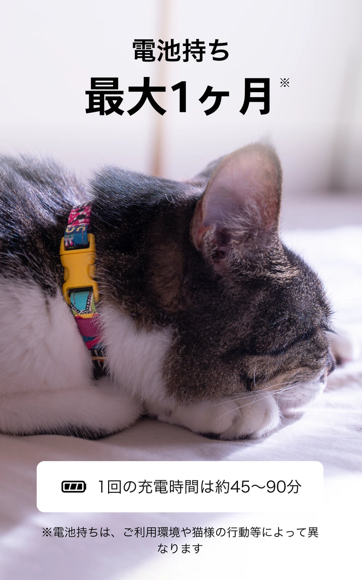 月額1,880円レンタルプラン：Catlog 基本セット ペット用品