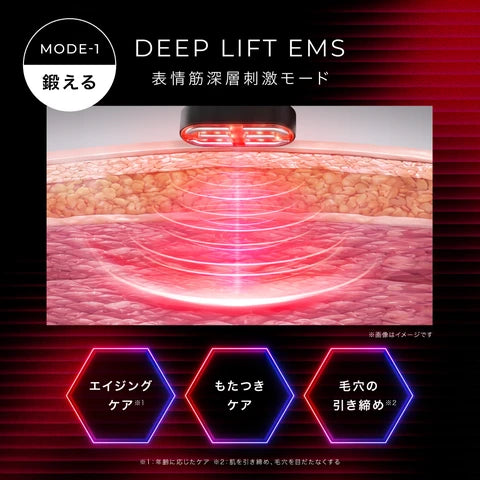 月額8,800円レンタルプラン：ディズム EMS EERメディスキンケアデバイス 2.0 美顔器 EMS BOT-2310-2