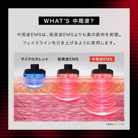 月額8,800円レンタルプラン：ディズム EMS EERメディスキンケアデバイス 2.0 美顔器 EMS BOT-2310-2