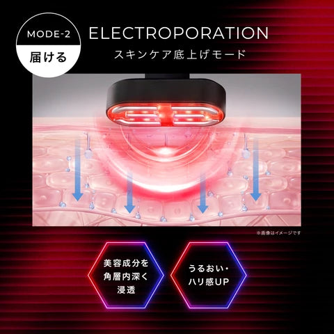 月額8,800円レンタルプラン：ディズム EMS EERメディスキンケアデバイス 2.0 美顔器 EMS BOT-2310-2