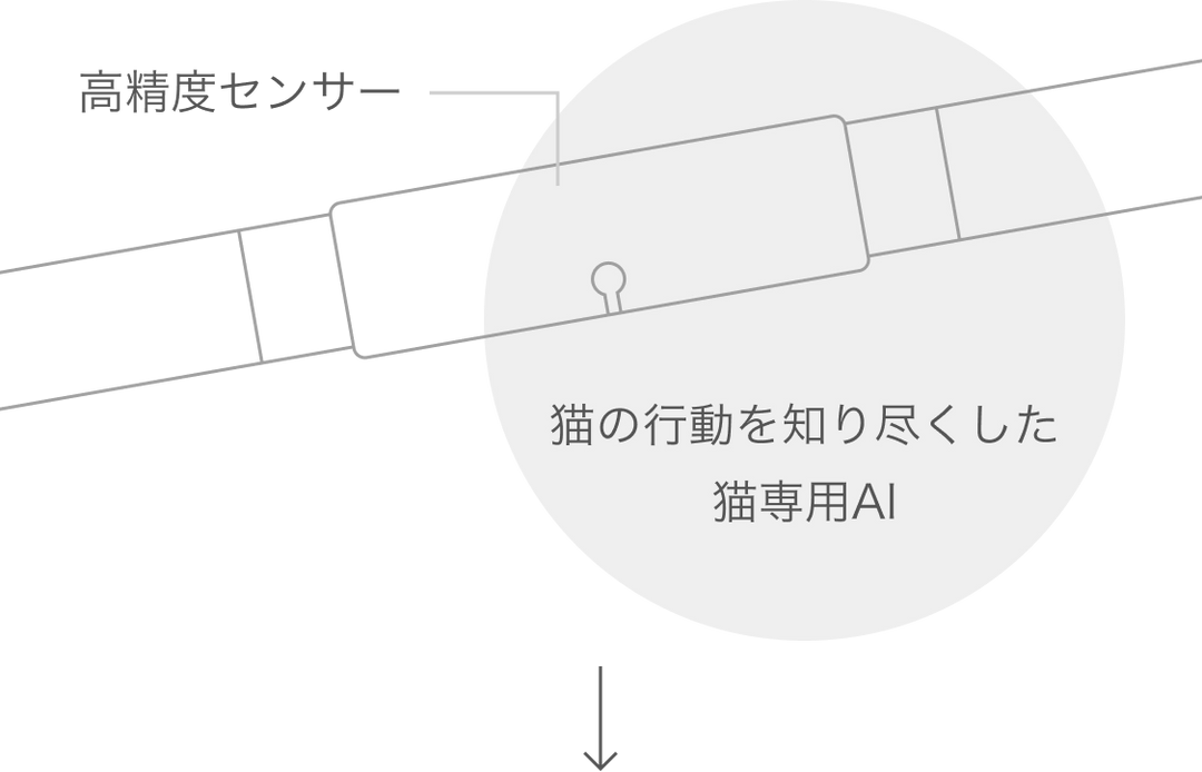 月額1,880円レンタルプラン：Catlog 基本セット ペット用品