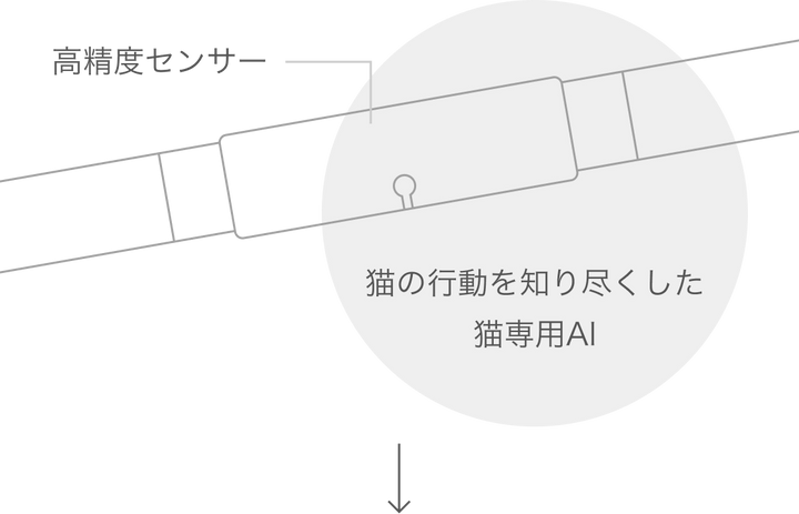 月額1,880円レンタルプラン：Catlog 基本セット ペット用品