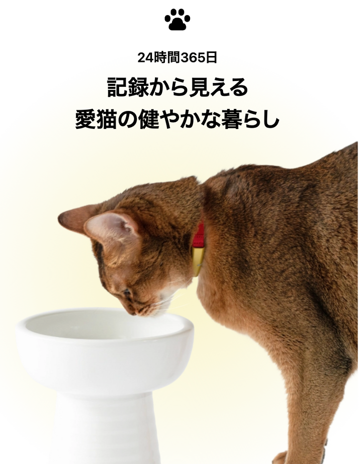 月額1,880円レンタルプラン：Catlog 基本セット ペット用品