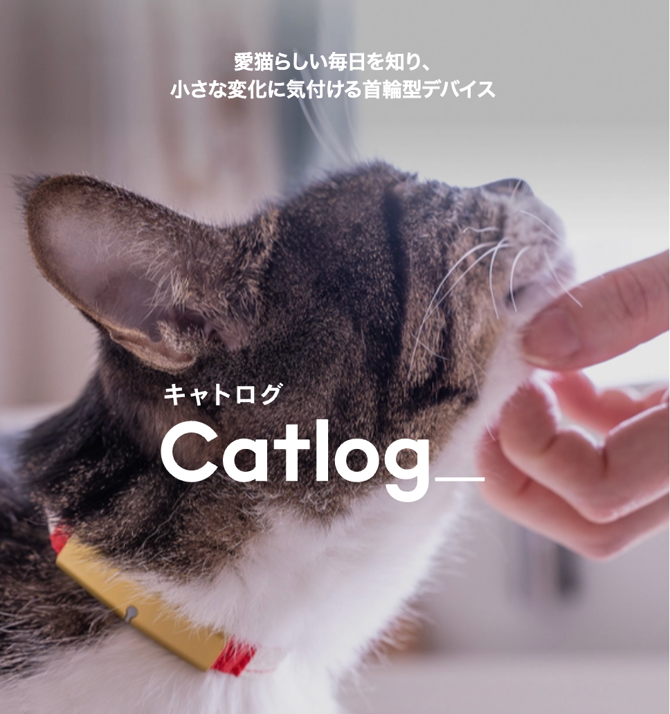 月額1,880円レンタルプラン：Catlog 基本セット ペット用品