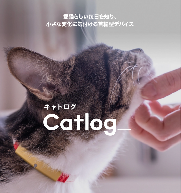 月額1,880円レンタルプラン：Catlog 基本セット ペット用品