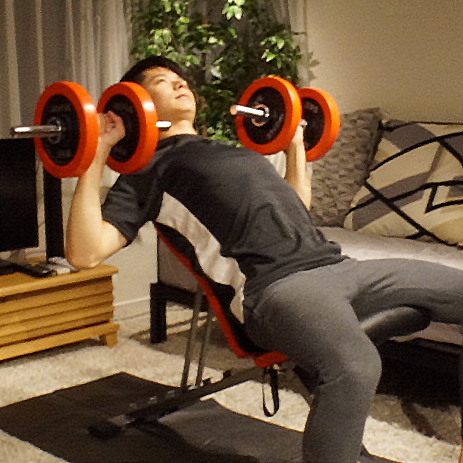 月額1,580円レンタルプラン：YAMAZENダンベル15kg×2個 – GYMGATE